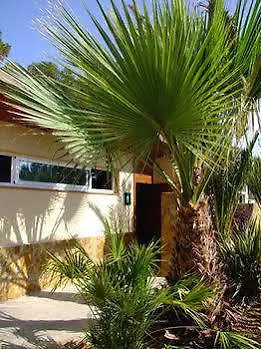 ** Campsite Camping Torre De La Mora Tarragona Spain